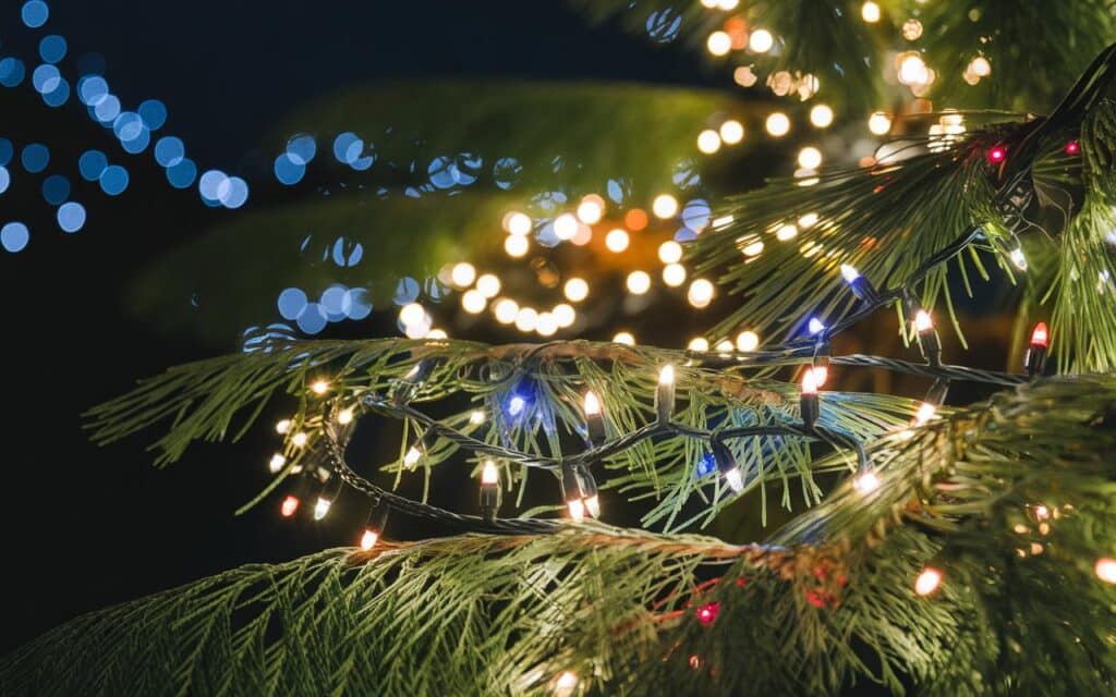 Quanto ti costano davvero le luminarie natalizie : sei sicuro di volerlo sapere?