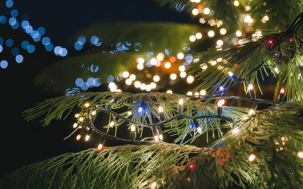 Quanto ti costano davvero le luminarie natalizie : sei sicuro di volerlo sapere?